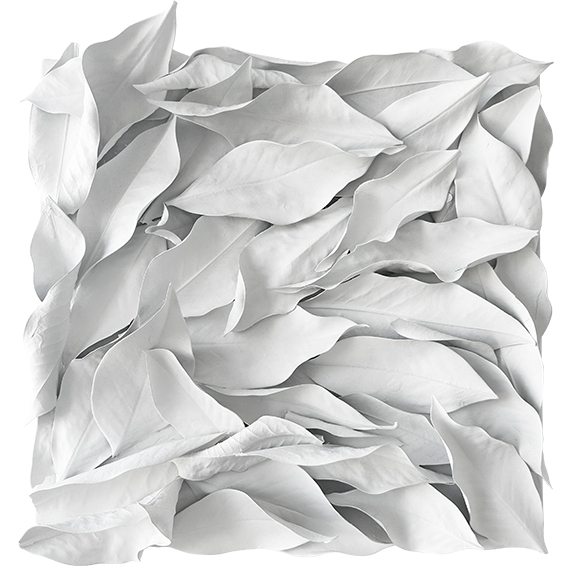 MATERIAL RENAISSANCE - Giusi Loisi